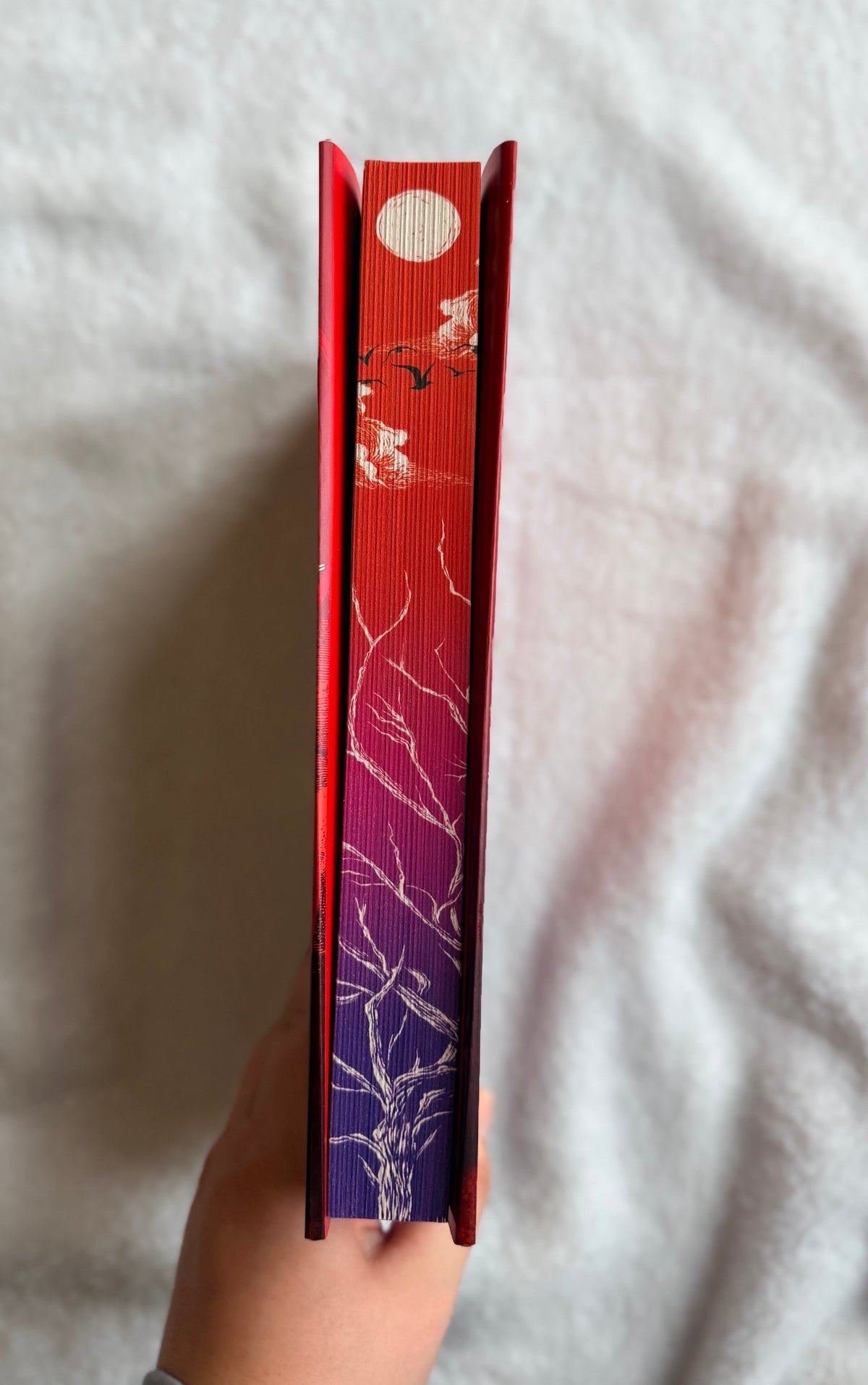 To Cage a Wild Bird (Deluxe Limited Edition)