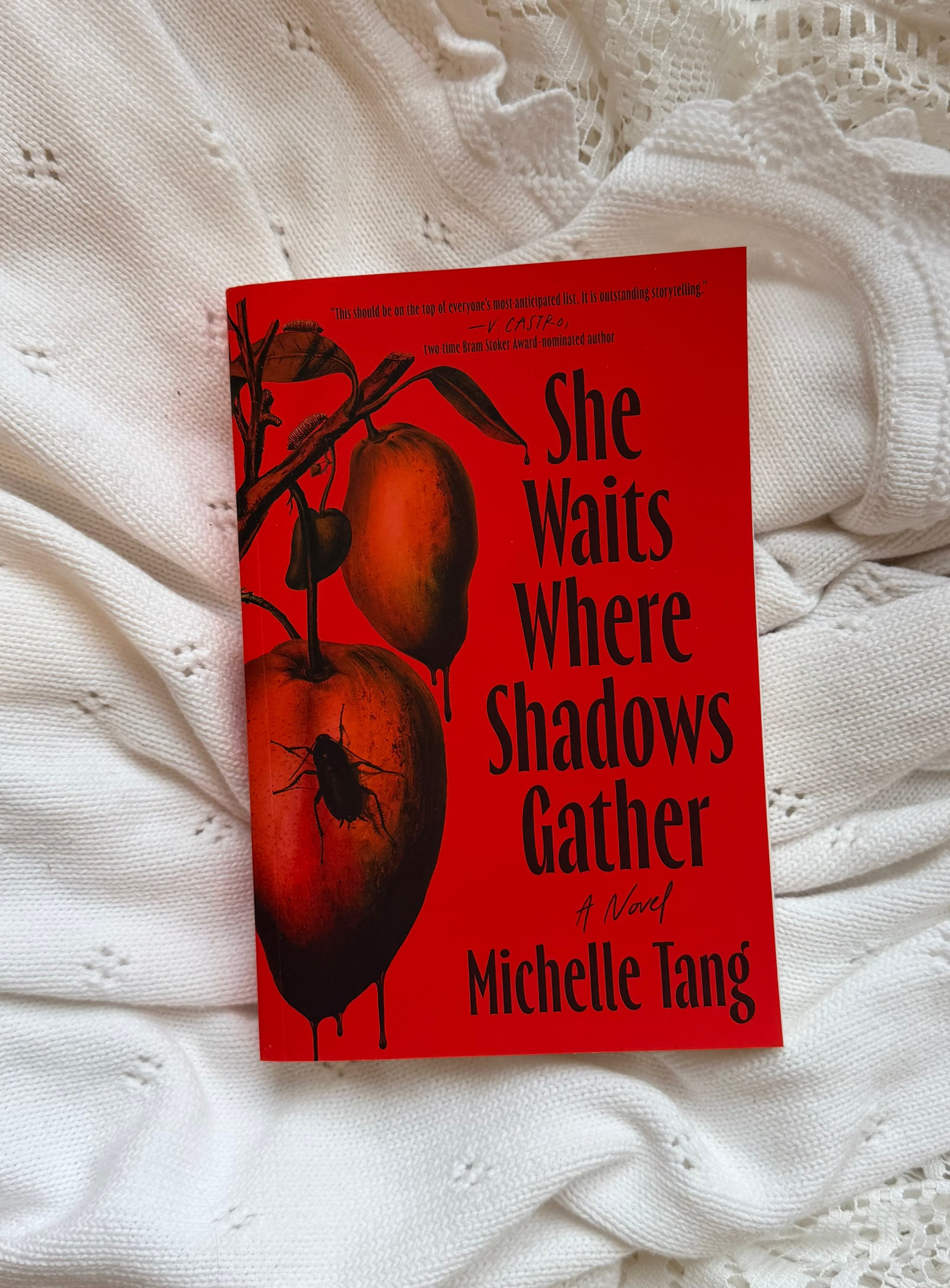 She Waits Where Shadows Gather