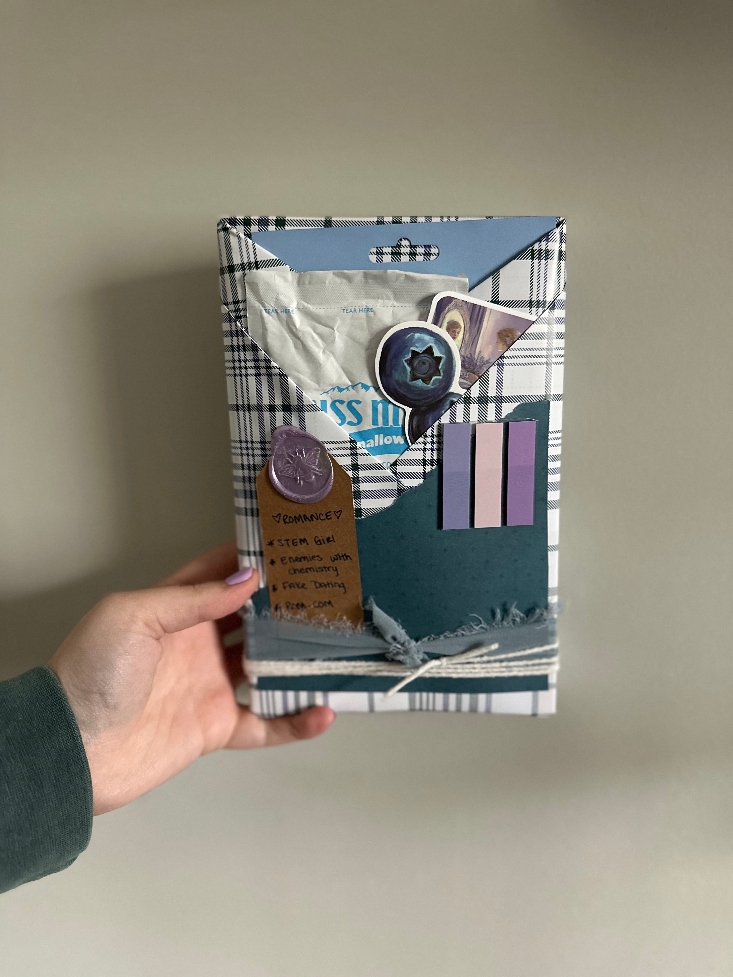 Blind Date With a Book | Mystery Wrapped Book for Romance, Fantasy & Thriller Readers