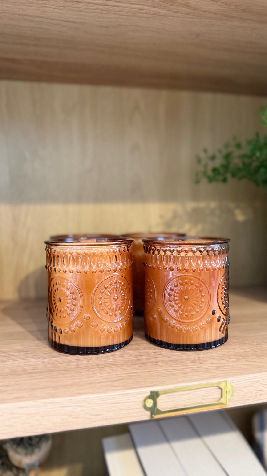 Fae & Folklore | Hand-Poured Soy Candle