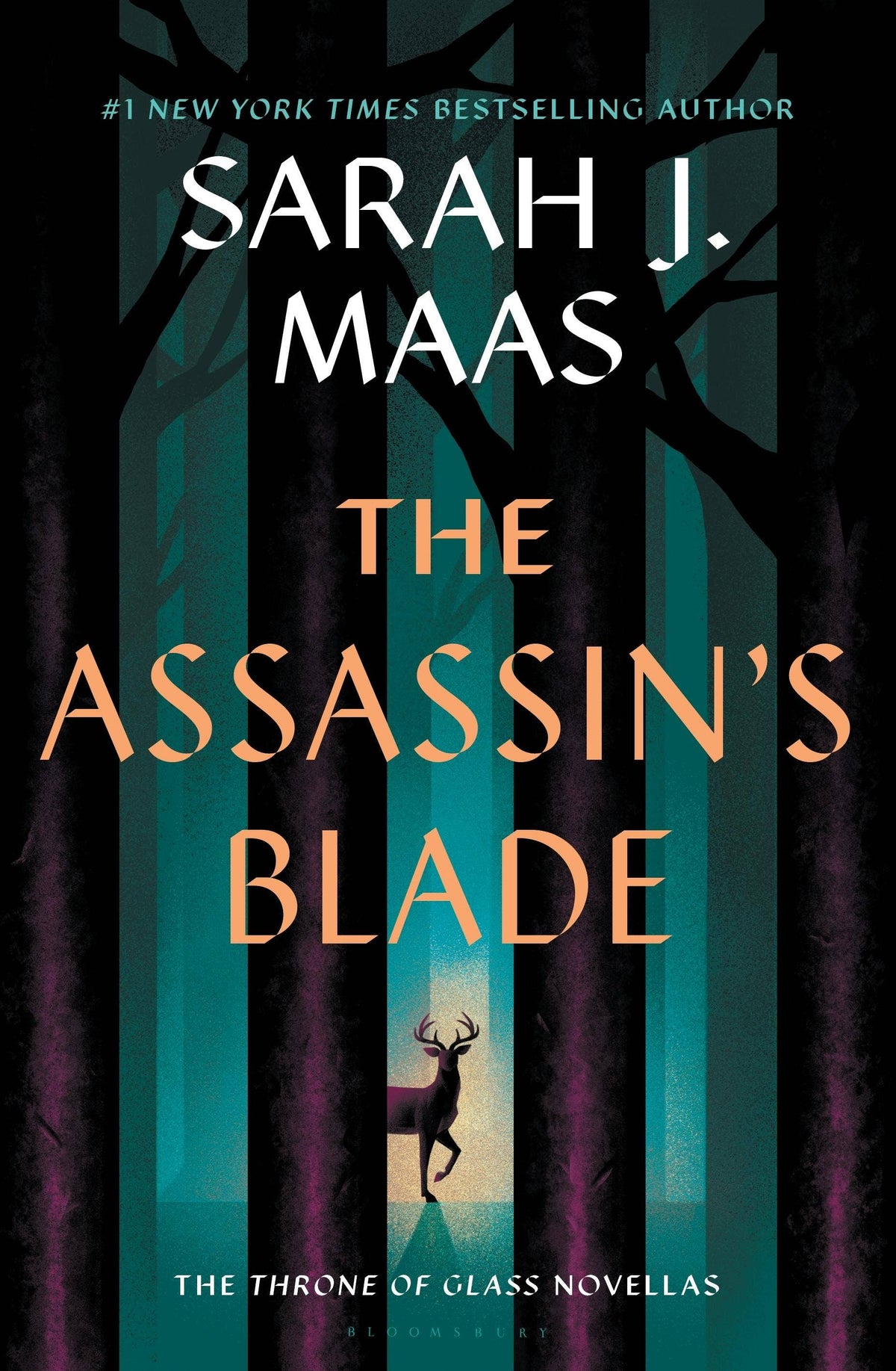 Assassins Blade: The Throne of Glass Prequel Novellas