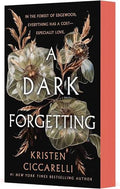 A Dark Forgetting: A Novel